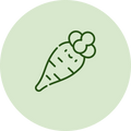 Parsnip